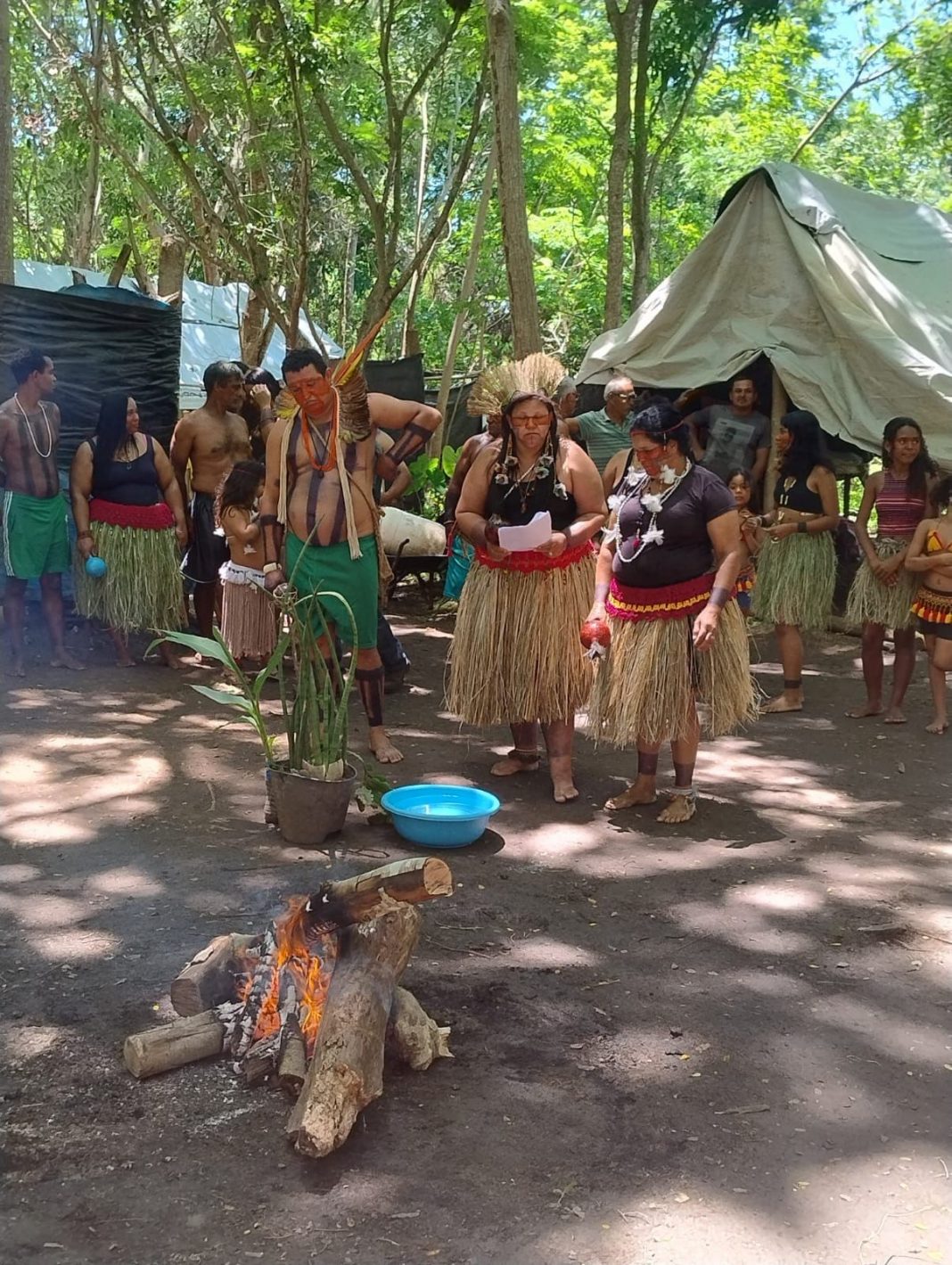 Retomada Krim Orutu: povo Puri se reergue em Minas Gerais