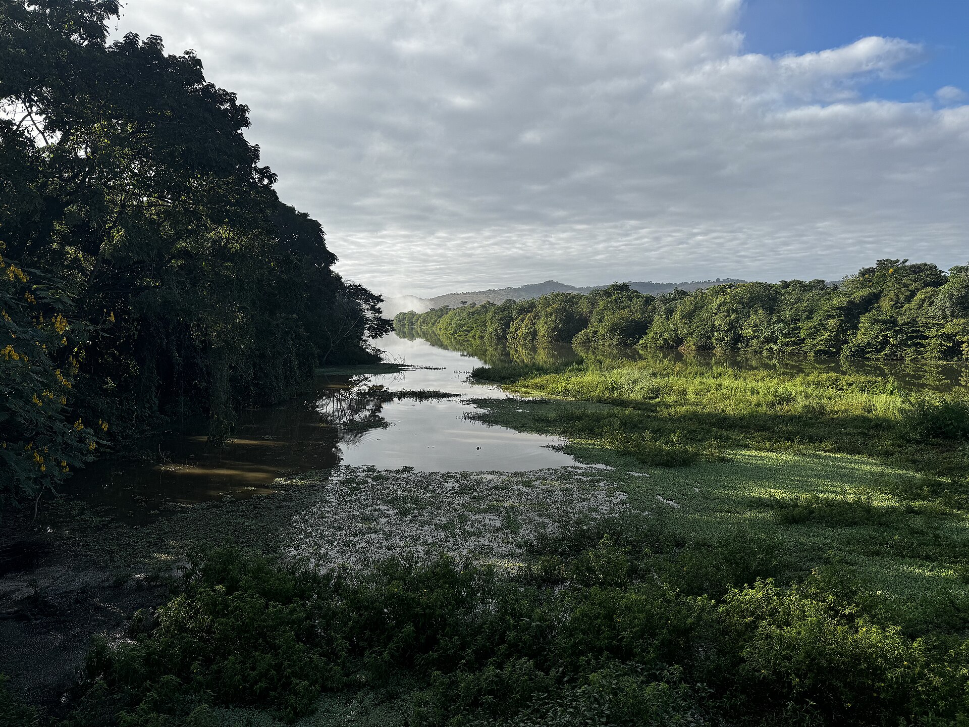 Manifesto Puri defende território, água e proteção da Mata Atlântica